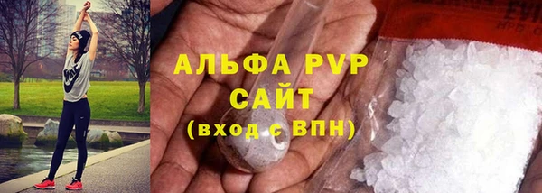 дживик Вязьма