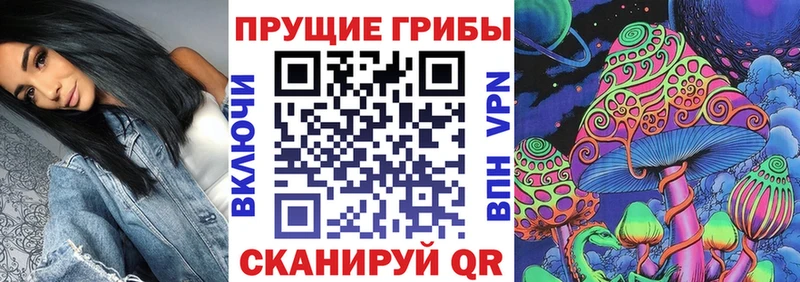 Псилоцибиновые грибы Psilocybe  наркотики  Кызыл 